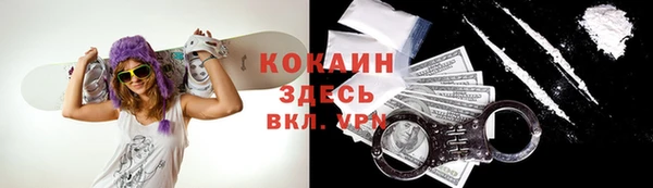прущие крисы Коряжма